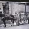 Partinico (90)